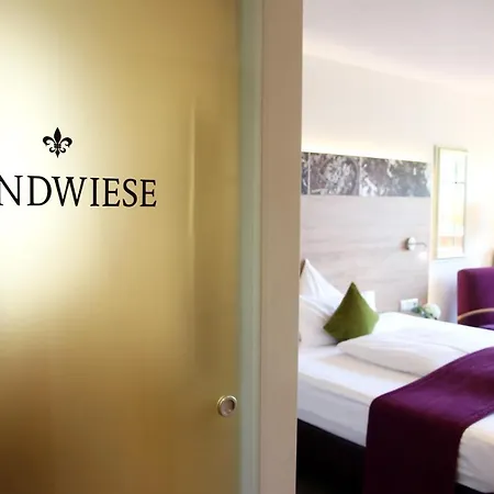 Weingut Sandwiese Winzerhotel Worms Exterior photo